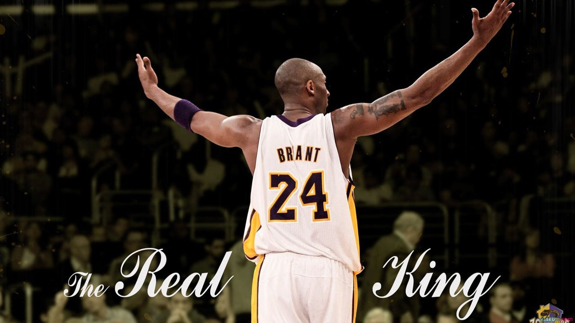 米兰体育官方网站-体育赛事数字营销策略,体育赛事的营销策略